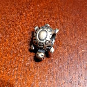 Turtle charm